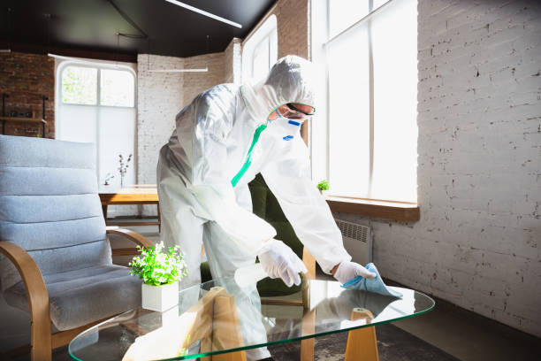 Reliable New Providence, NJ Mold Removal Services Solutions